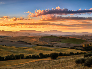 Фото з відкритих джерел