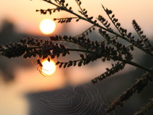 Фото з відкритих джерел