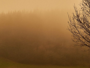 Фото з відкритих джерел