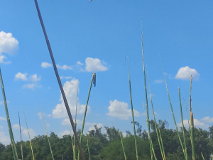 Фото Світлани Потапенко