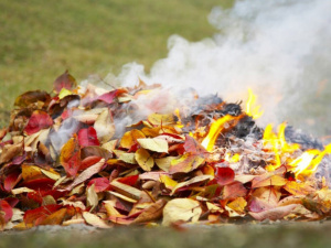 Фото пресслужби ОВА