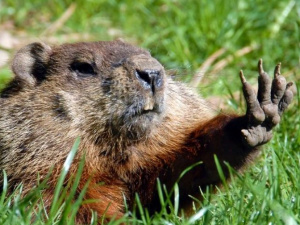 Фото із мережі Інтернет