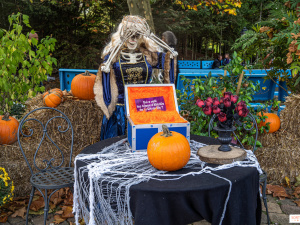 Фото з відкритих джерел