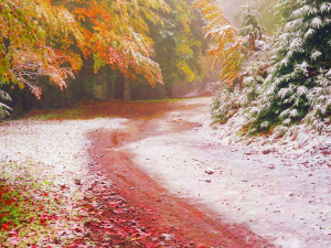 Фото з відкритих джерел      