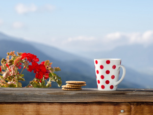 Фото із мережі Інтернет