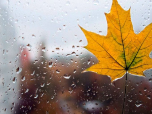 Фото із мережі Інтернет