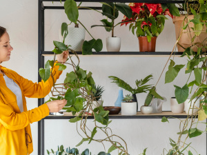 Зображення від Freepik