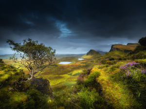 Фото з відкритих джерел 