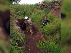 Фото пресс-службы ГСЧС Кривого Рога