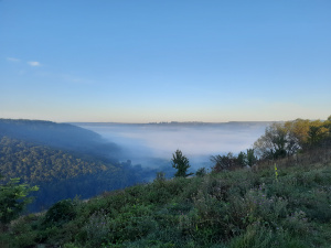 Фото ілюстративне з відкритих джерел 