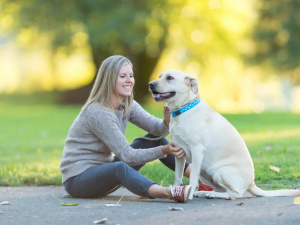Як собака покращує настрій: наука та практика - фото з відкритих джерел