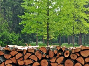 Фото із мережі Інтернет