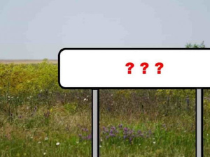 Фото з відкритих джерел