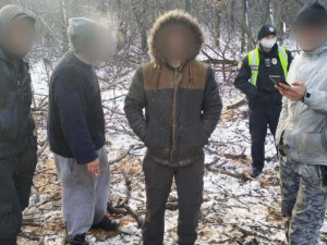 Попалися "на гарячому": криворізькі патрульні виявили осіб, які, ймовірно, здійснювали самовільну вирубку лісу