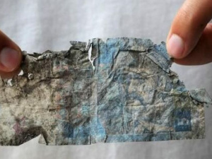 Фото из сети Интернет