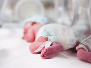 Фото з відкритих джерел