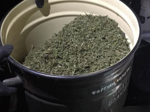 Фото пресс-службы Криворожского отдела полиции