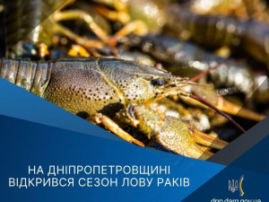 Фото Дніпропетровський рибоохоронний патруль
