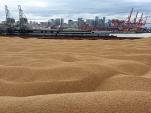 Володимир Зеленський звинуватив рф у зриві «зернової угоди»