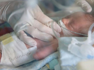 Фото из сети Интернет