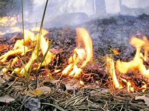 Фото из сети Интернет