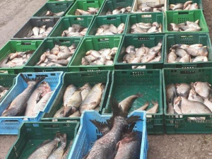 Фото пресс-службы Криворожского отдела полиции