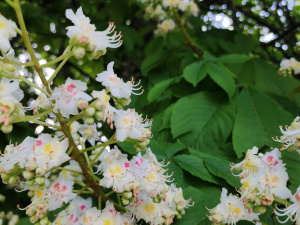 Фото редакції krivbass.city