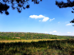 Фото спільноти "Природа Криворіжжя"