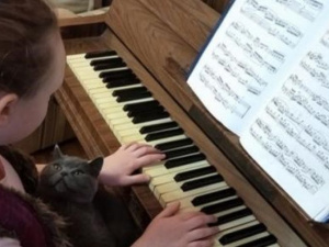 Фото із мережі Інтернет