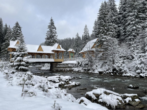 Фото ілюстративне з відкритих джерел     