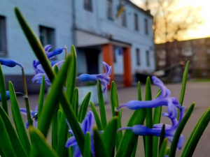 Фото: Інгулецький суд