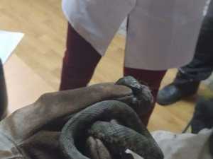 Фото пресс-службы ГСЧС Кривого Рога