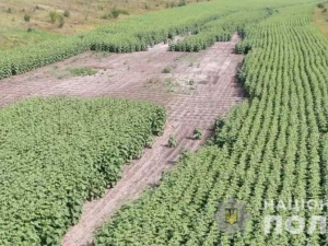 фото поліції Дніпропетровської області 