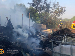 На Дніпропетровщині спалахнула приватна садиба: внаслідок пожежі загинули тварини
