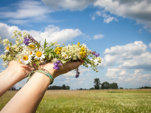Фото з відкритих джерел 