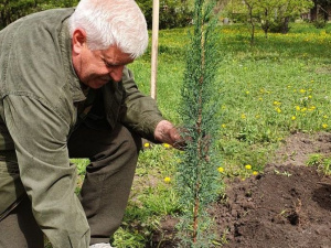 Фото Благодійний Фонд «Громадська ініціатива мешканців Кривбасу»