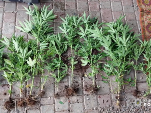 Фото: ГУНП у Дніпропетровській області