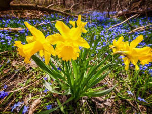 Фото з відкритих джерел