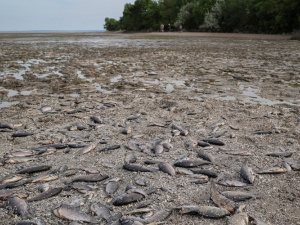 На Дніпропетровщині розгорнули інфекційні хаби: робитимуть швидкі тести на холеру