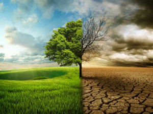 Фото з відкритих джерел