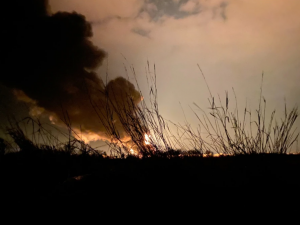 Фото із мережі Інтернет. Фото ілюстративне