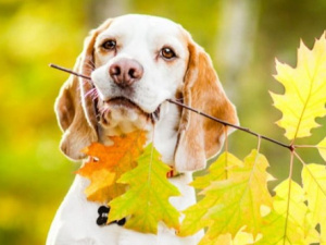 Фото з відкритих джерел