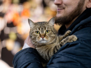 Фото пресслужби Укрзалізниці 