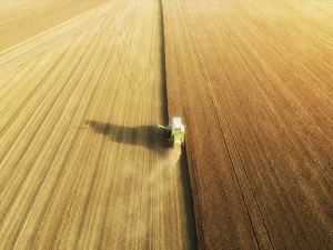 Фото з відкритих джерел