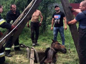 Фото пресс-службы ГСЧС Днепропетровской области