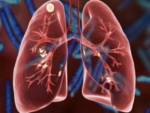 Фото з відкритих джерел