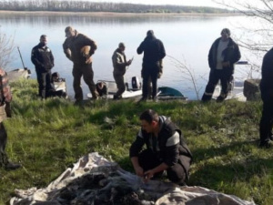 Фото Держрибагентство у Дніпропетровській області