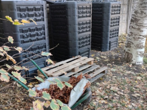 Фото Криворізької гімназії № 70