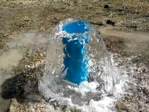 Фото з відкритих джерел