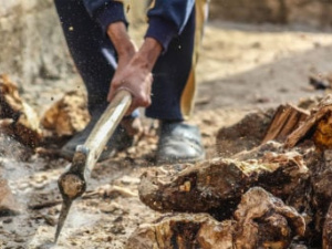 Фото із мережі Інтернет